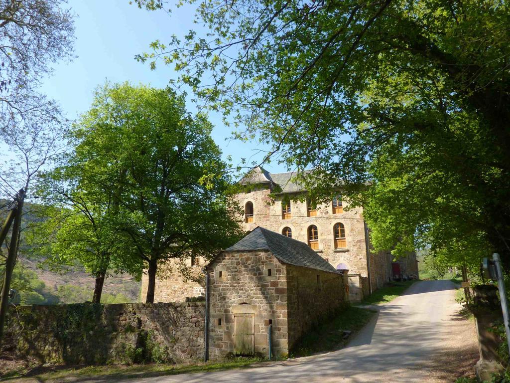 Chateau De Salelles Banassac ภายนอก รูปภาพ