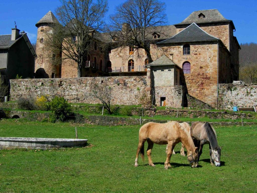 Chateau De Salelles Banassac ภายนอก รูปภาพ